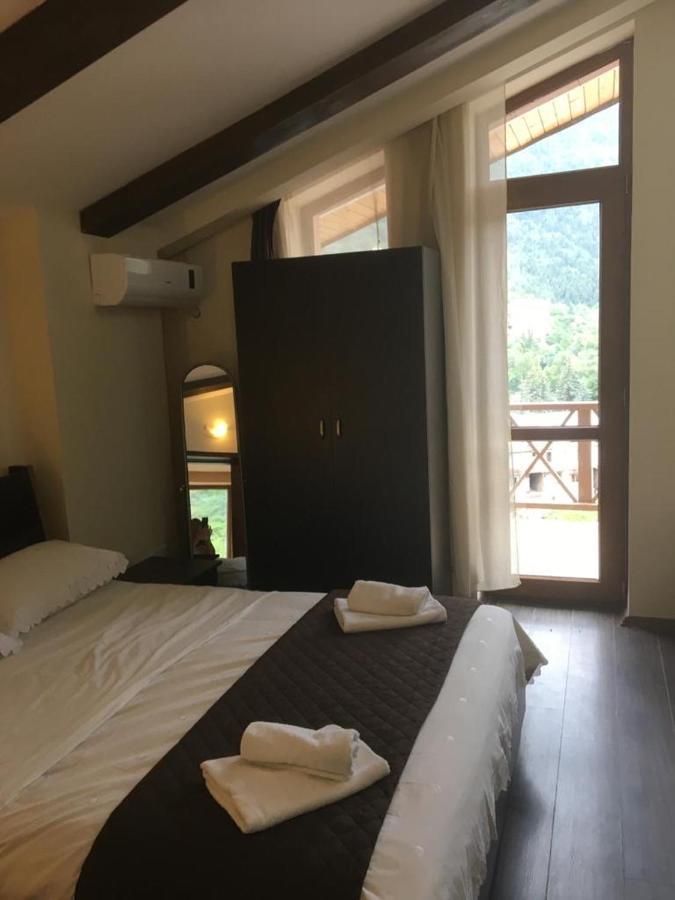 Hotel Victoria-Panorama Borjomi Exteriör bild